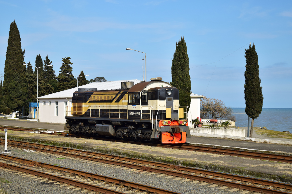 ТЭМ2-6399