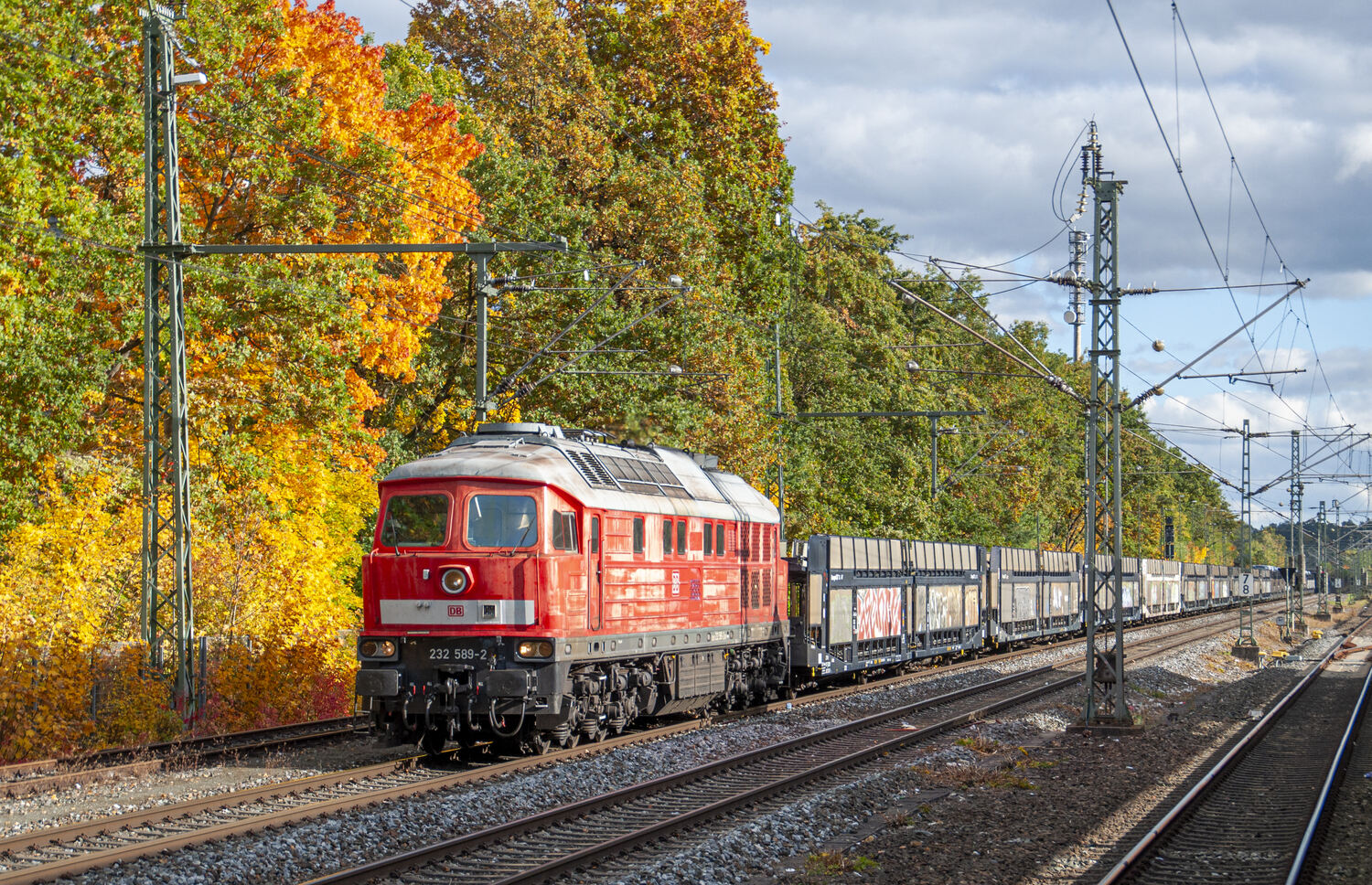 232 589-2