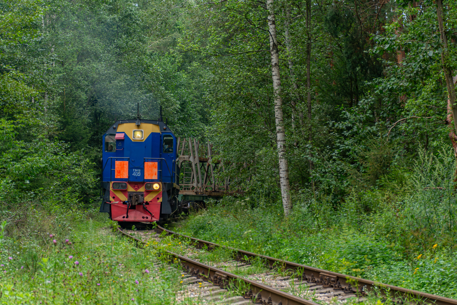 ТЭМ18-409