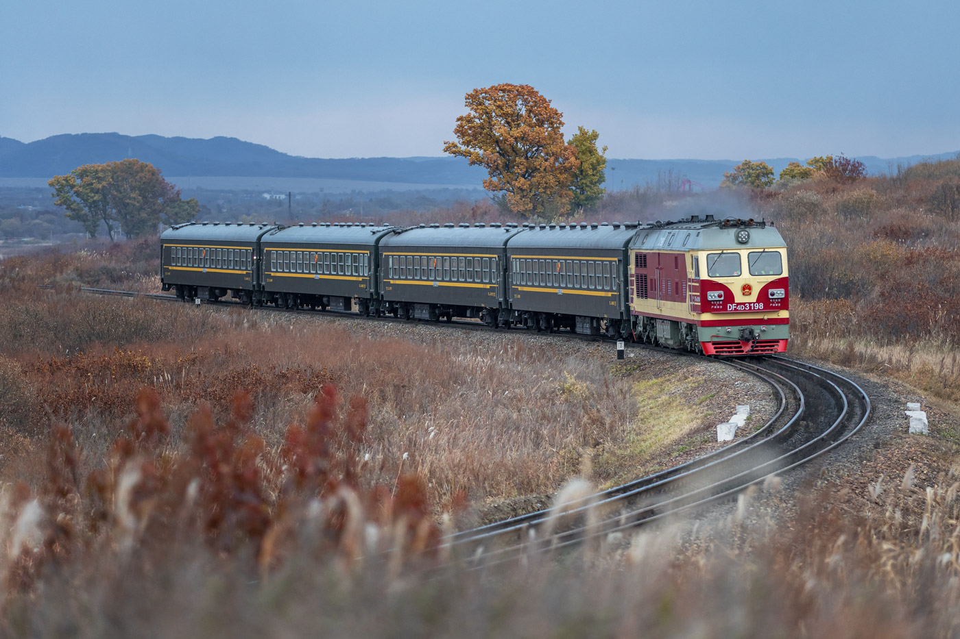 DF4D-3198