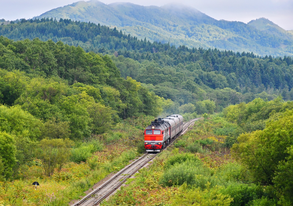 2М62У-0239 2М62У-0239
