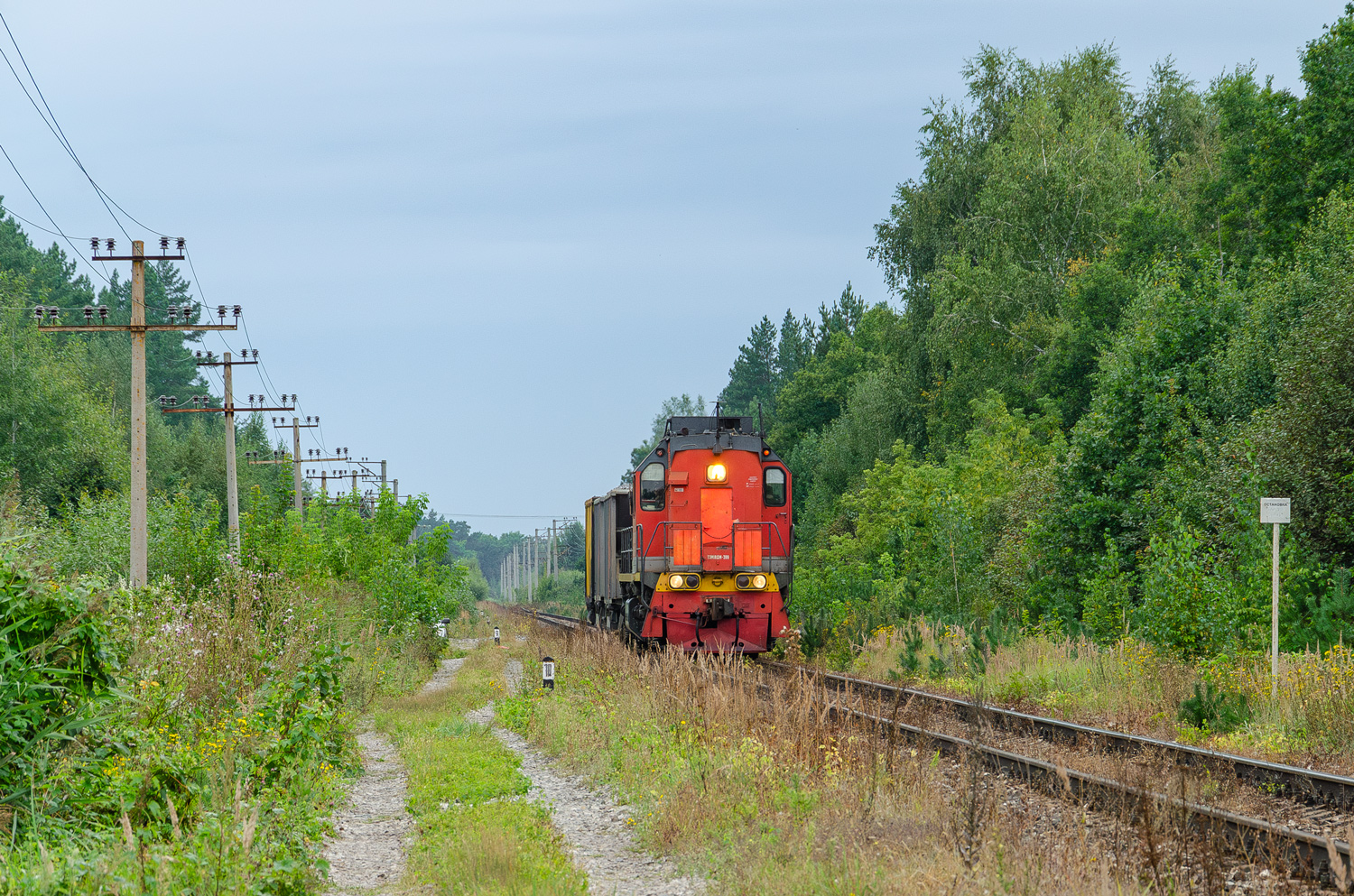 ТЭМ18ДМ-399 ТЭМ18ДМ-399