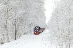 ТЭМ2-460 (Moscow Railway)