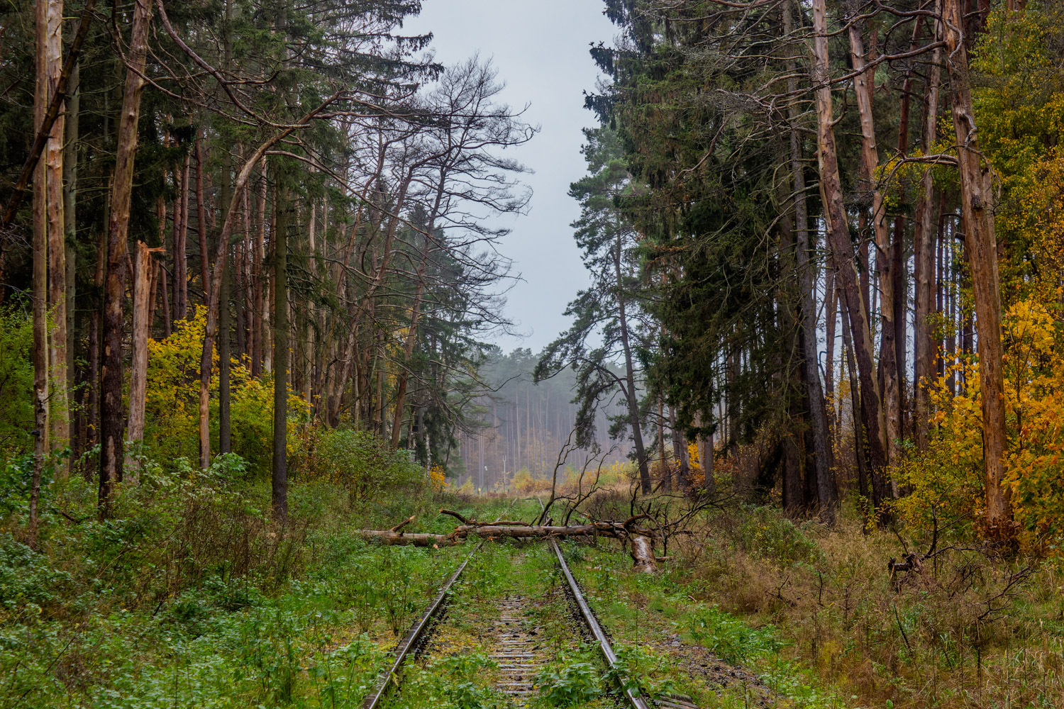 Калининградская железная дорога — Станции и перегоны