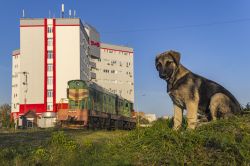 ЧМЭ3-6036 (Московская железная дорога); Творческие фотографии