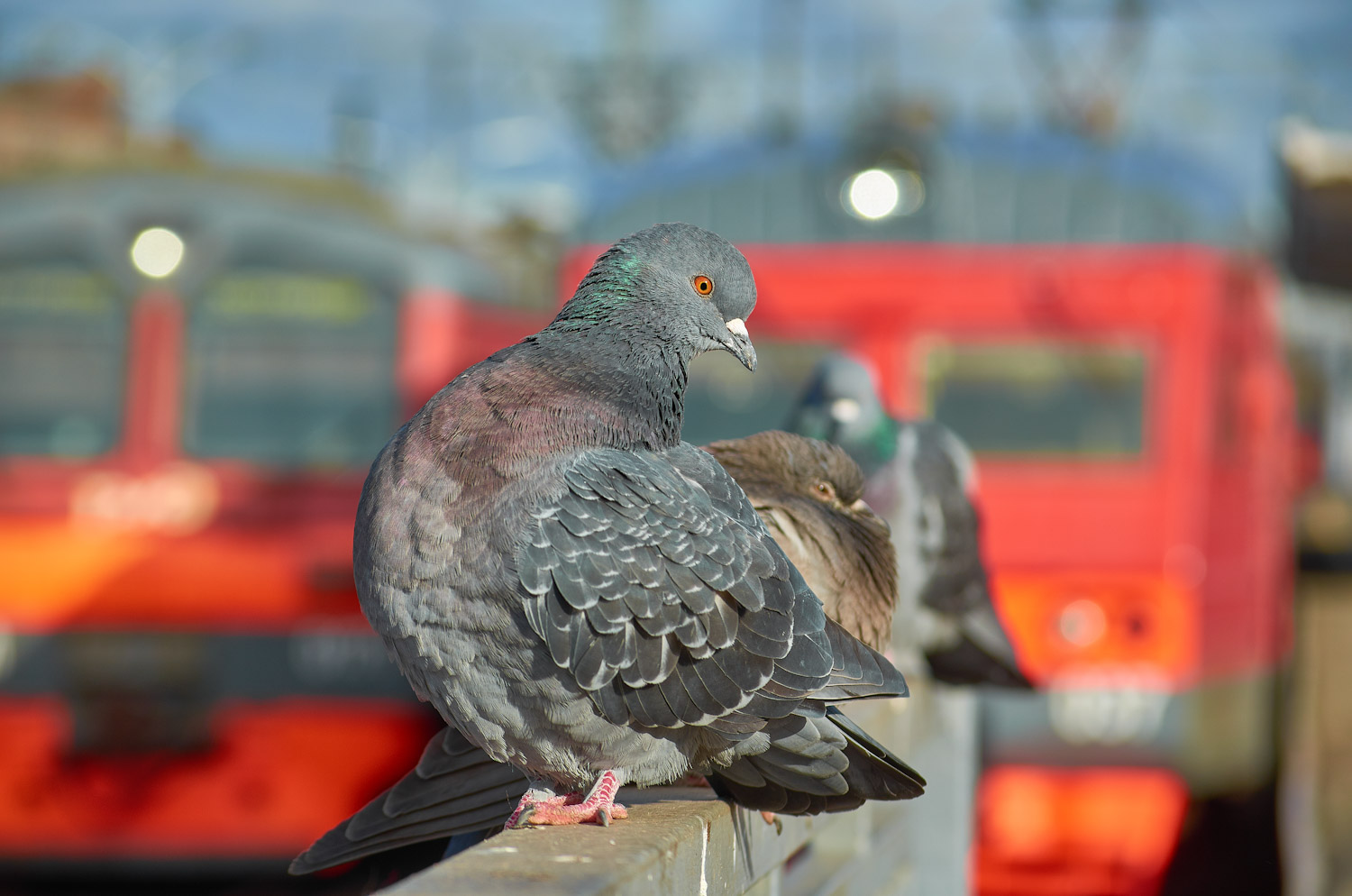 Творческие фотографии Творческие фотографии