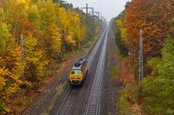 233 493-6 (Germany, Other)