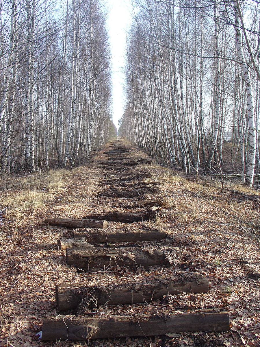 Moscow Railway &mdash; Stations & ways