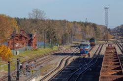 2ТЭ116-1667 (Estonia, private carieers); 2ТЭ116-1366 (Estonia, private carieers)