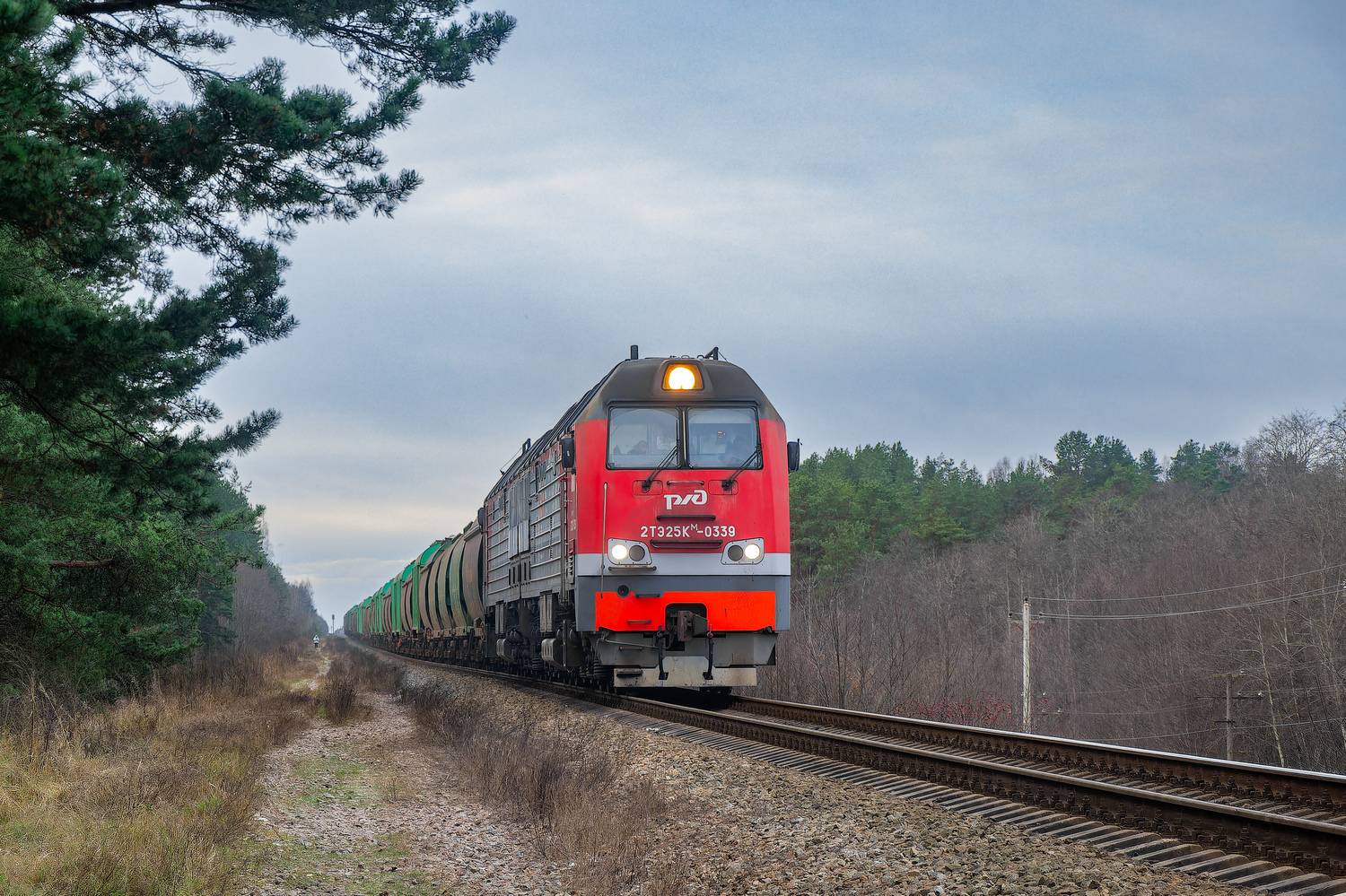 2ТЭ25КМ-0339