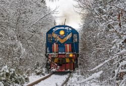 ТЭМ2-7732 (Moscow Railway)