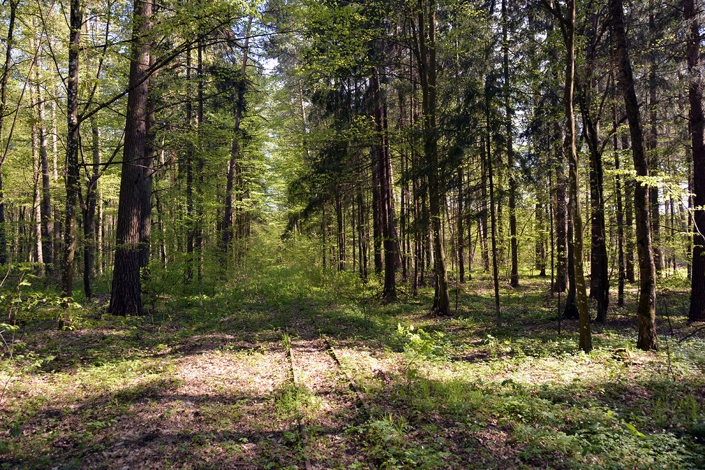 Польские государственные железные дороги (PKP) — Станции и перегоны
