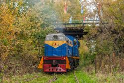 ТГМ4-2619 (Sverdlovsk Railway)