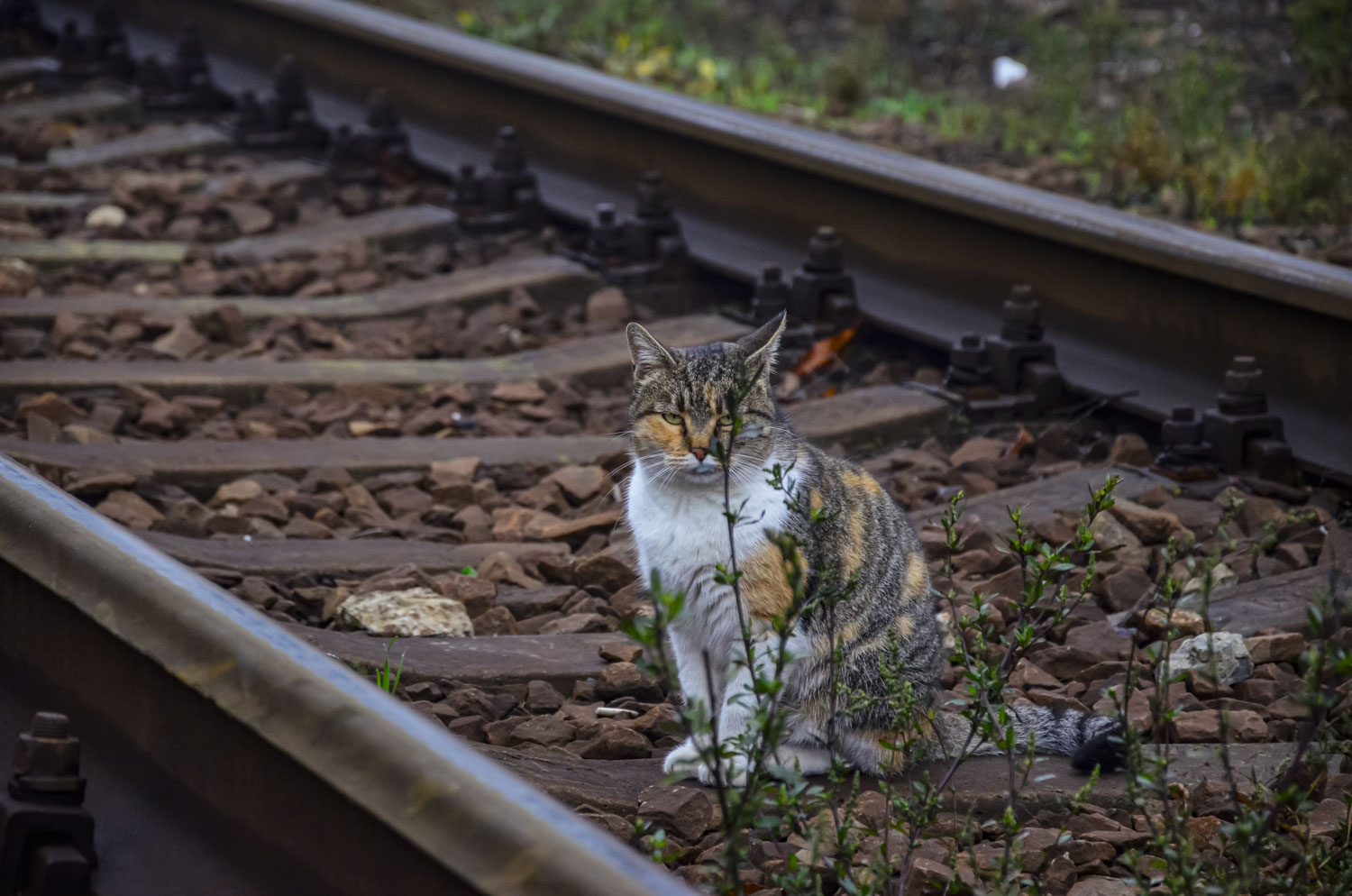 Творческие фотографии