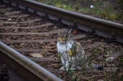 Творческие фотографии