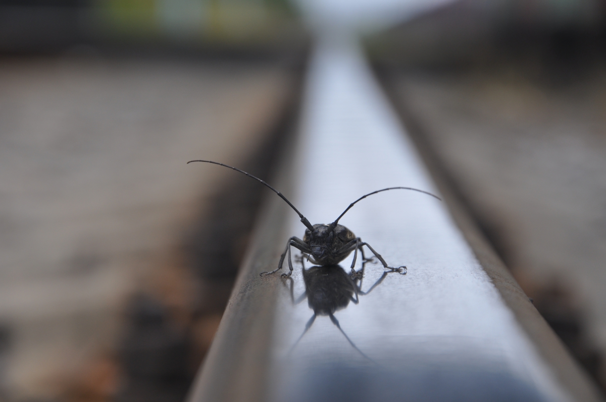Творческие фотографии