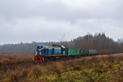 ТЭМ2-7151 (Горьковская железная дорога)