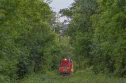 ЧМЭ3-3920 (Moscow Railway)