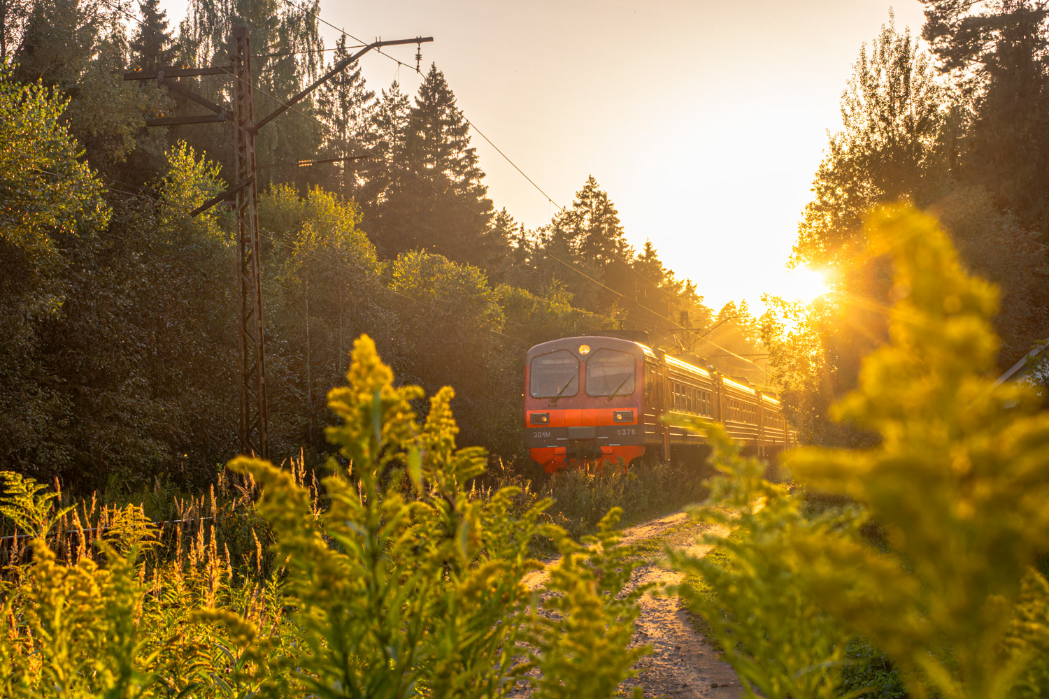 Творческие фотографии