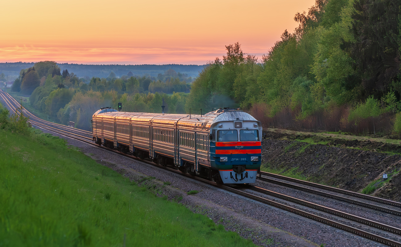 ДР1А-265