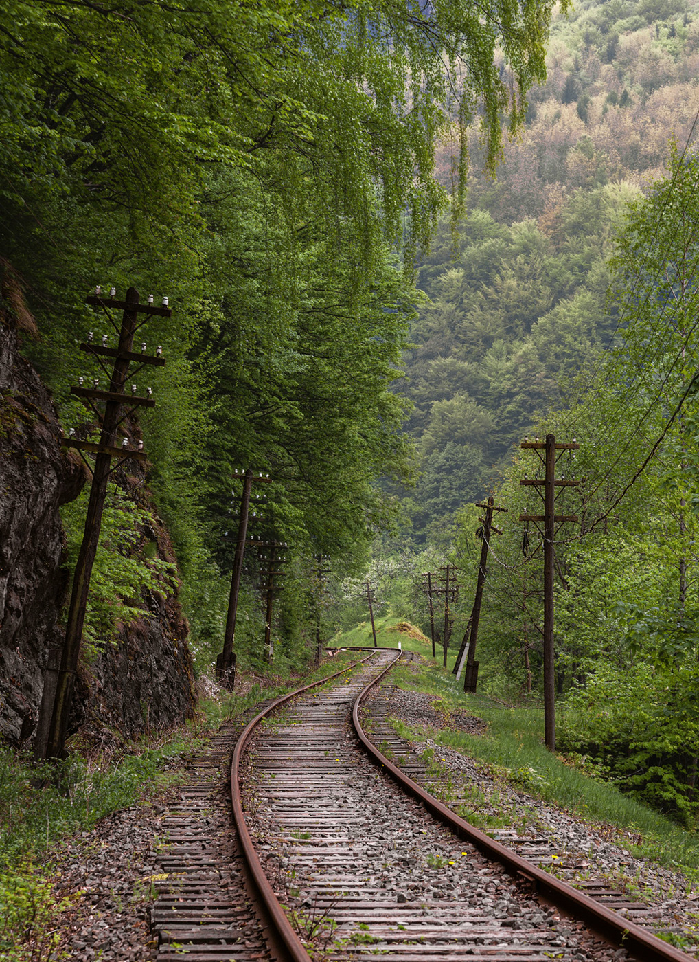 Other &mdash; Miscellaneous photos