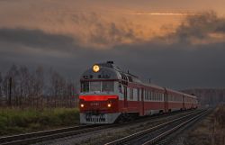 Д1-748 (Moscow Railway)