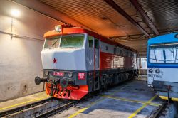 T478.1010 (ČD Cargo)