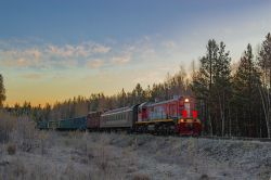 ТЭМ2А-5146 (Sverdlovsk Railway)