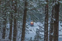 ДР1А-231 (Belarusian Railway); Creative Photos