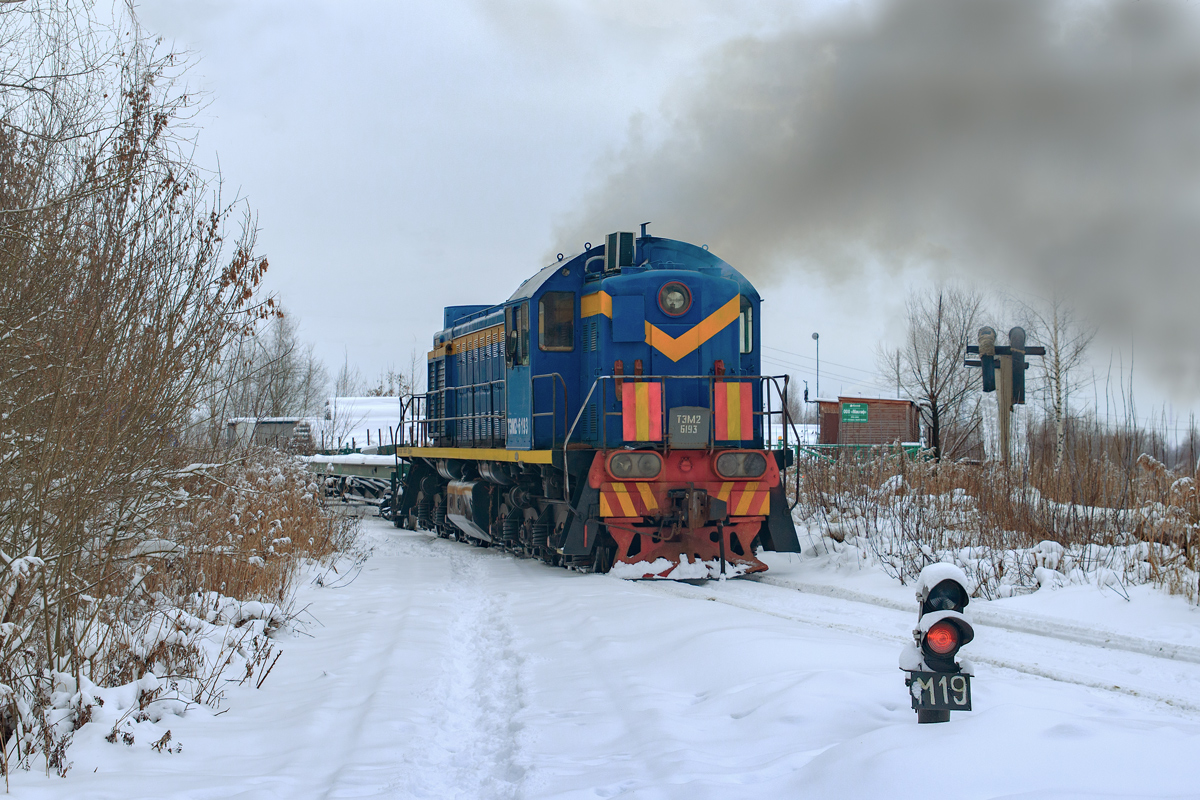 ТЭМ2-6193