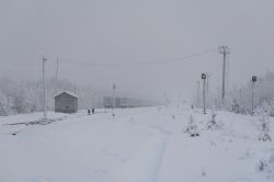 446 КБ