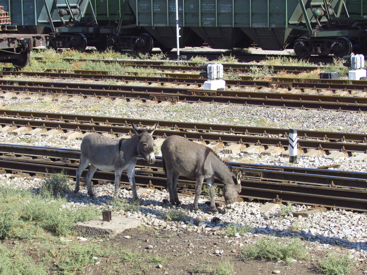 Творческие фотографии