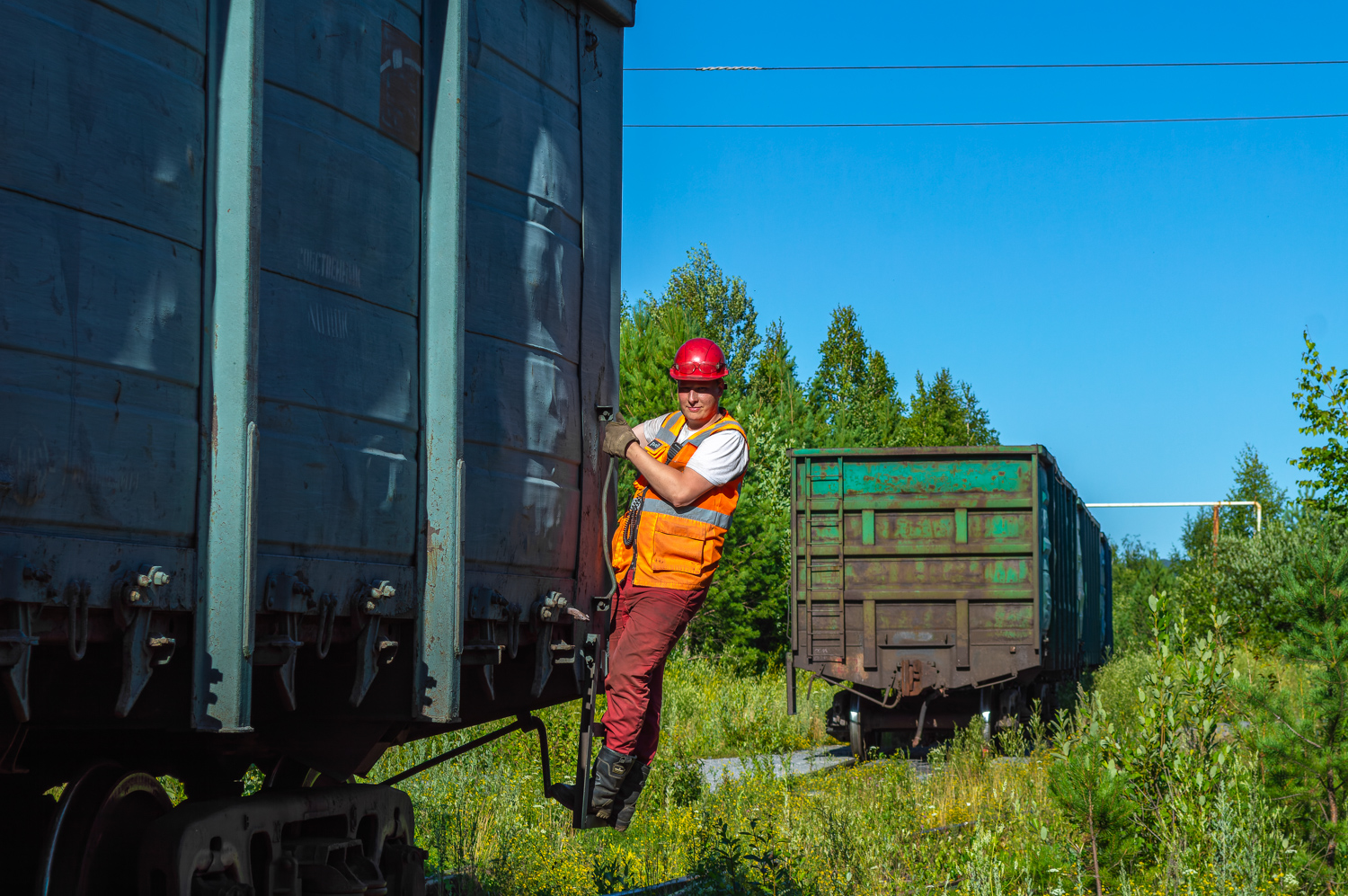 People and Animals on Railway