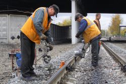 People and Animals on Railway