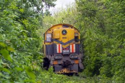 ТЭМ2-5344 (Novorossia Railway)