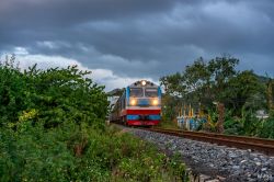 D19E-919 (Железные дороги Вьетнама)