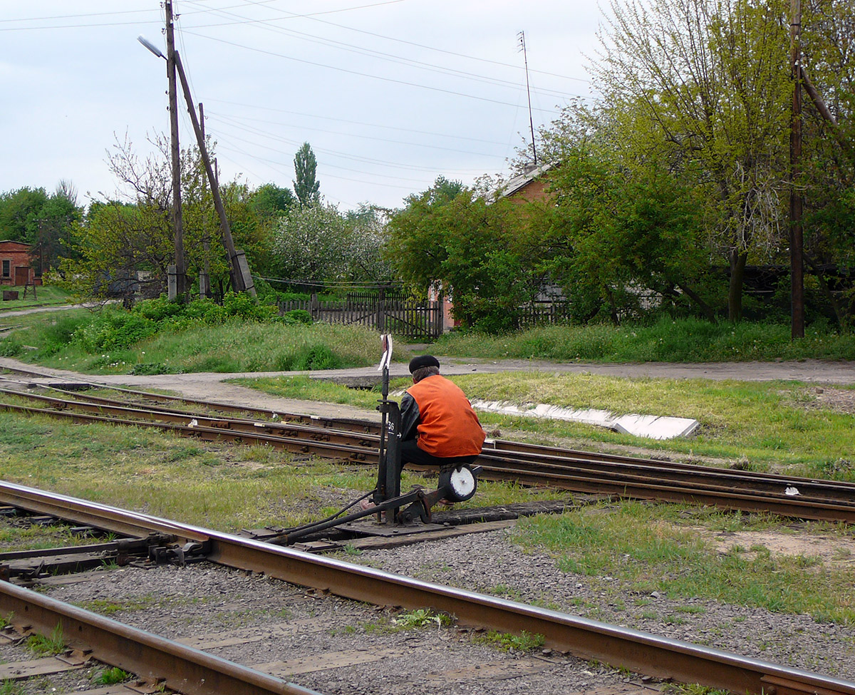 People and Animals on Railway