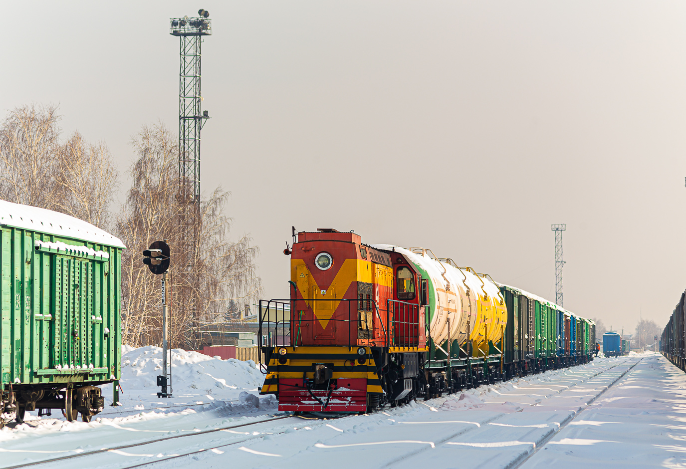 ТЭМ9-0024