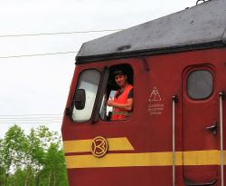 People and Animals on Railway