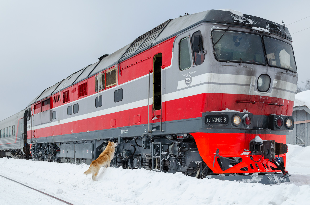 Жизнь железной дороги