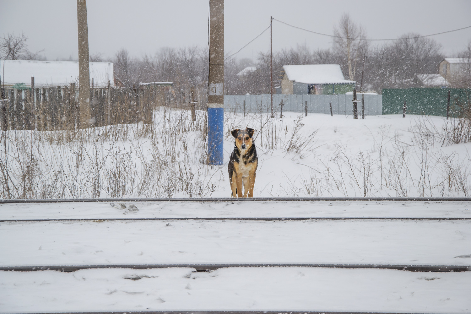 Жизнь железной дороги
