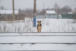 Жизнь железной дороги