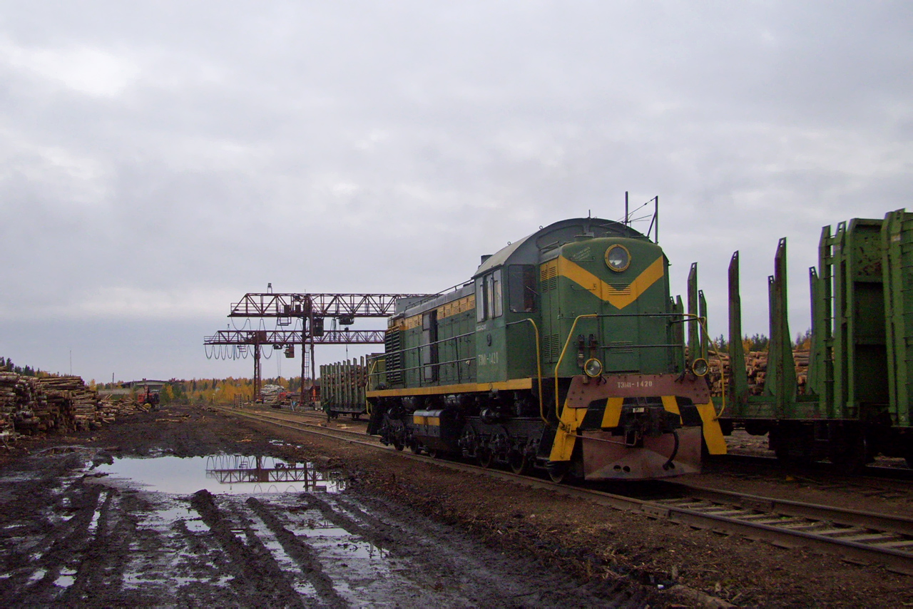 ТЭМ1-1420