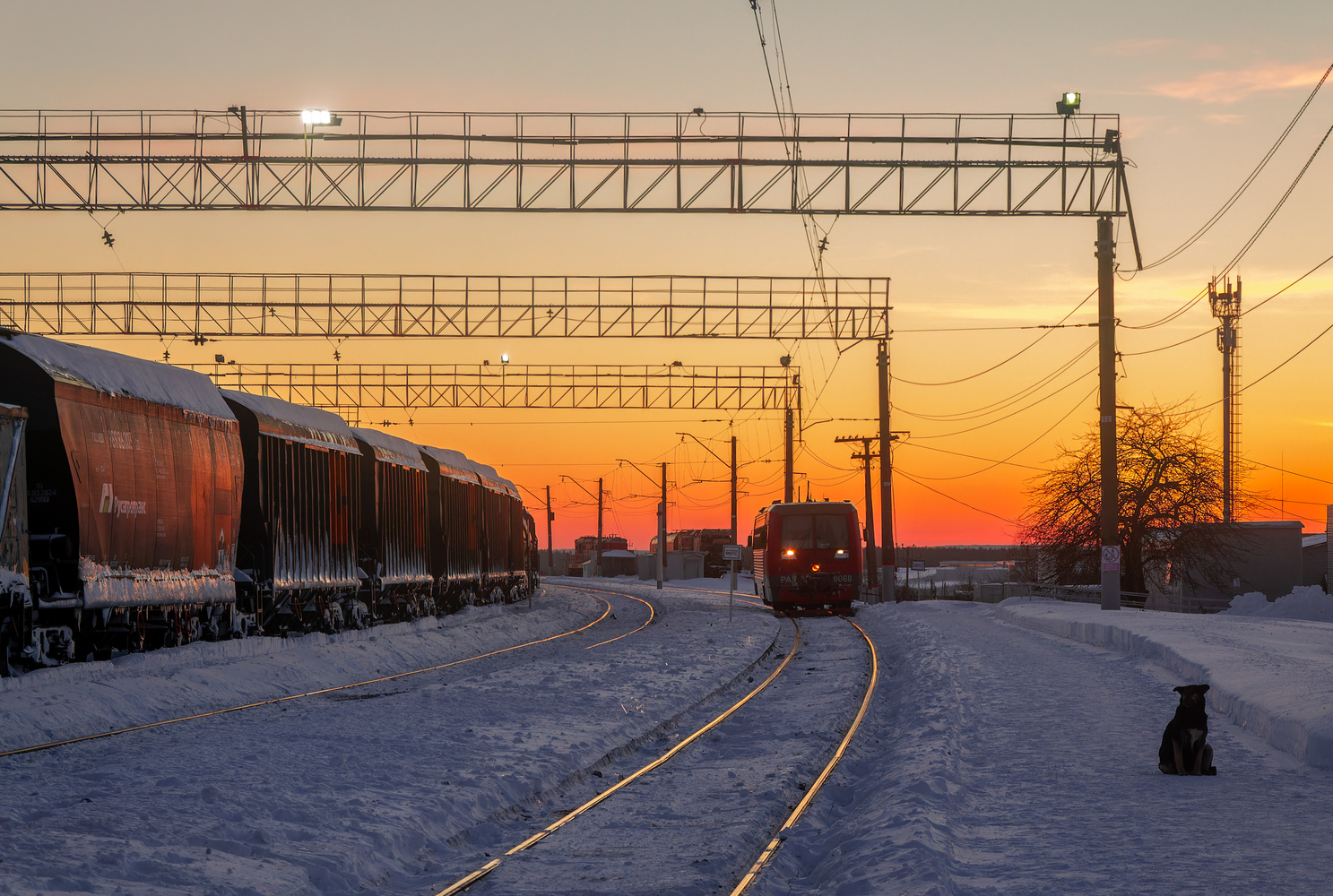Творческие фотографии
