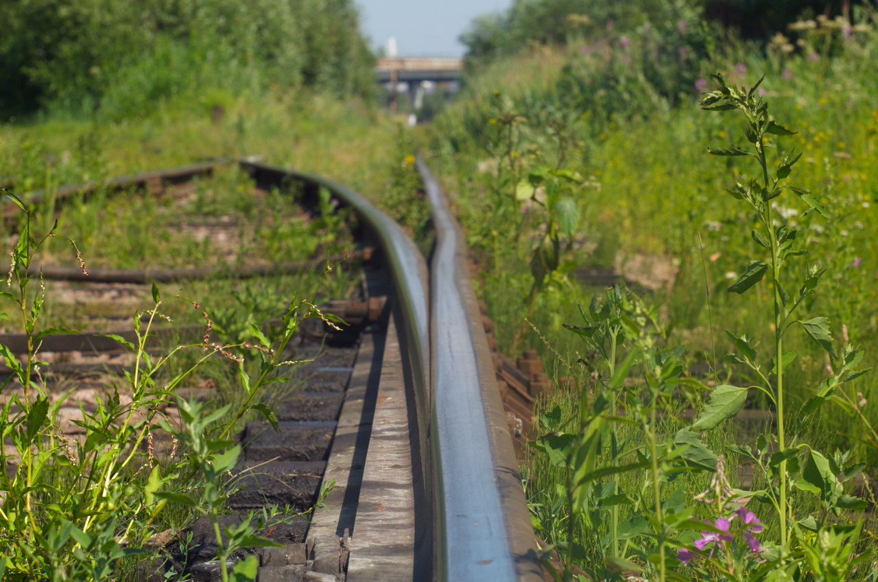 Творческие фотографии