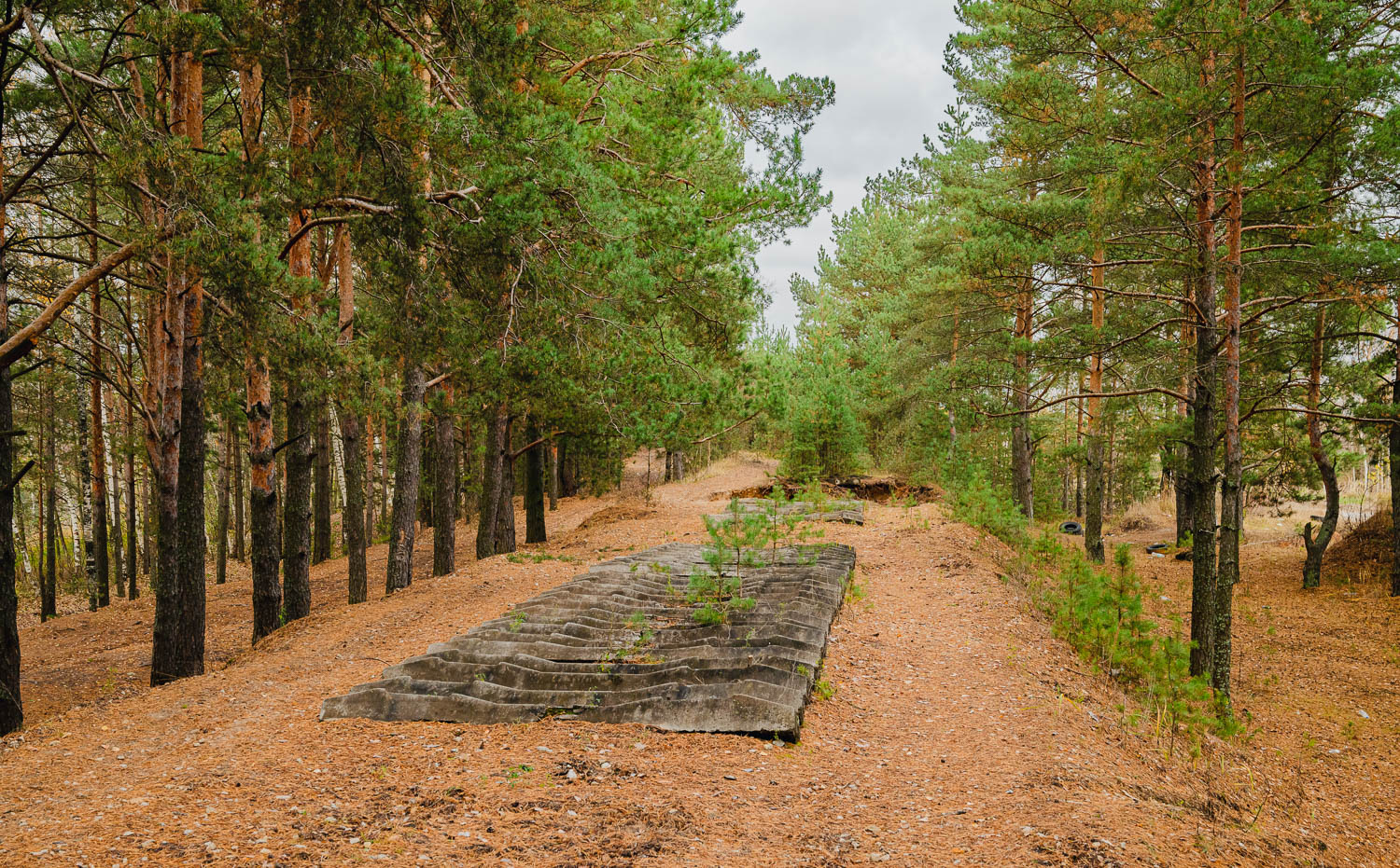 Горьковская железная дорога &mdash; Станции и перегоны