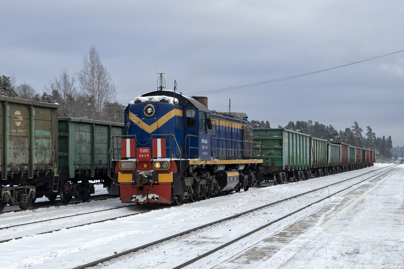 ТЭМ2-3010