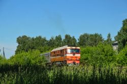 779 КБ