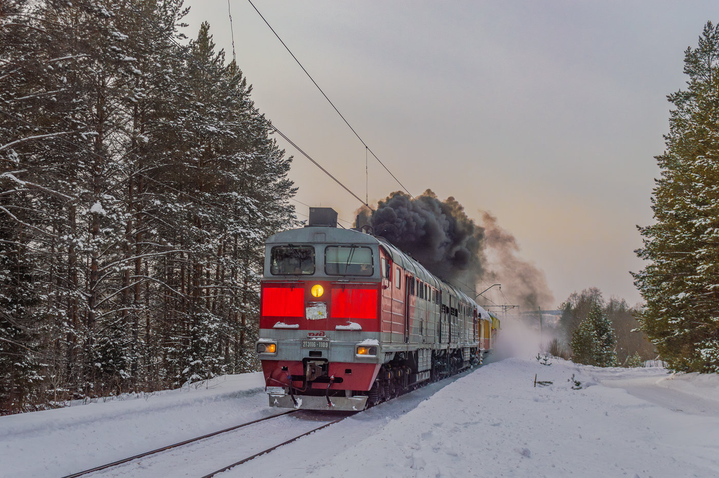 2ТЭ116-1109