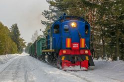 ТЭМ2-5834 (Sverdlovsk Railway)